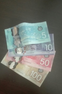 Dollari Canadesi